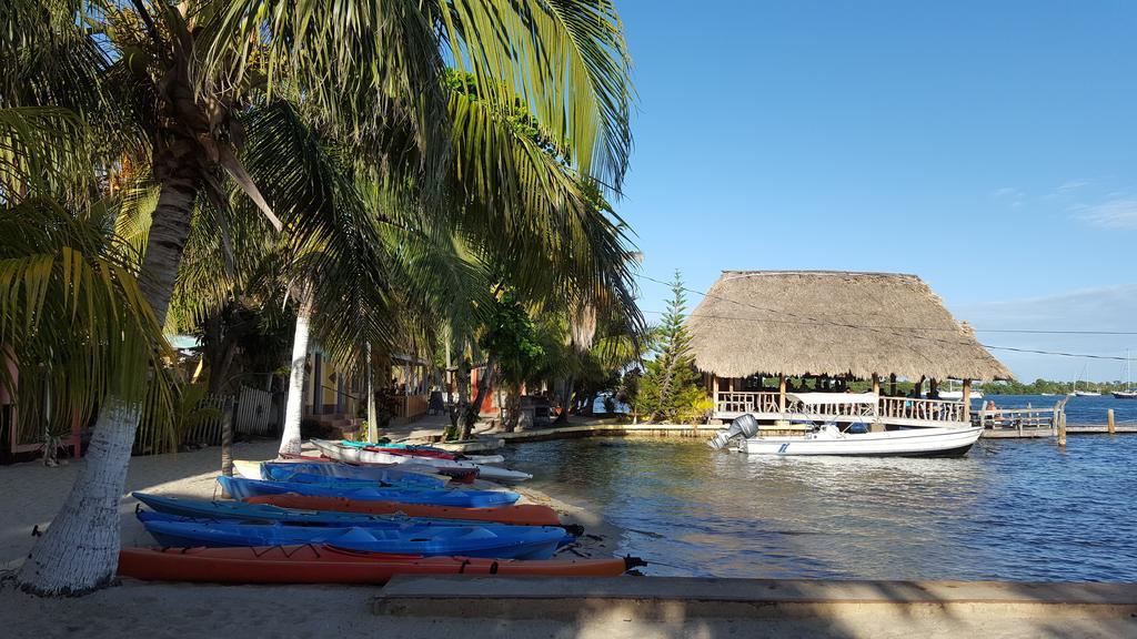 Alan'S Paradise Hotel Placencia Exterior foto